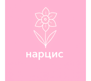 Нарцис