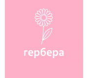Гербера