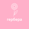 Гербера