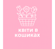 Квіти в кошиках