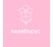 Хелеборус