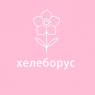 Хелеборус