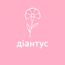 Діантус