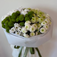 Зелений баланс