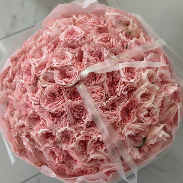 Букет "Розкішна мрія з 101 троянди Pink O’Hara"